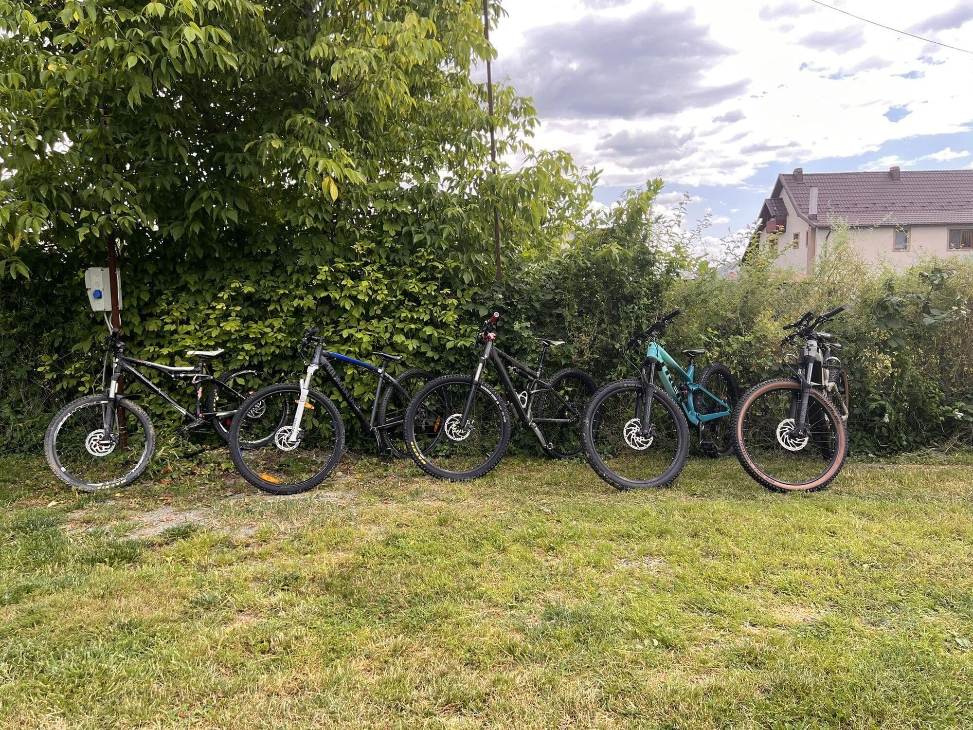 Cinci biciclete de munte aliniate pe iarbă, lângă gardul viu din curte
