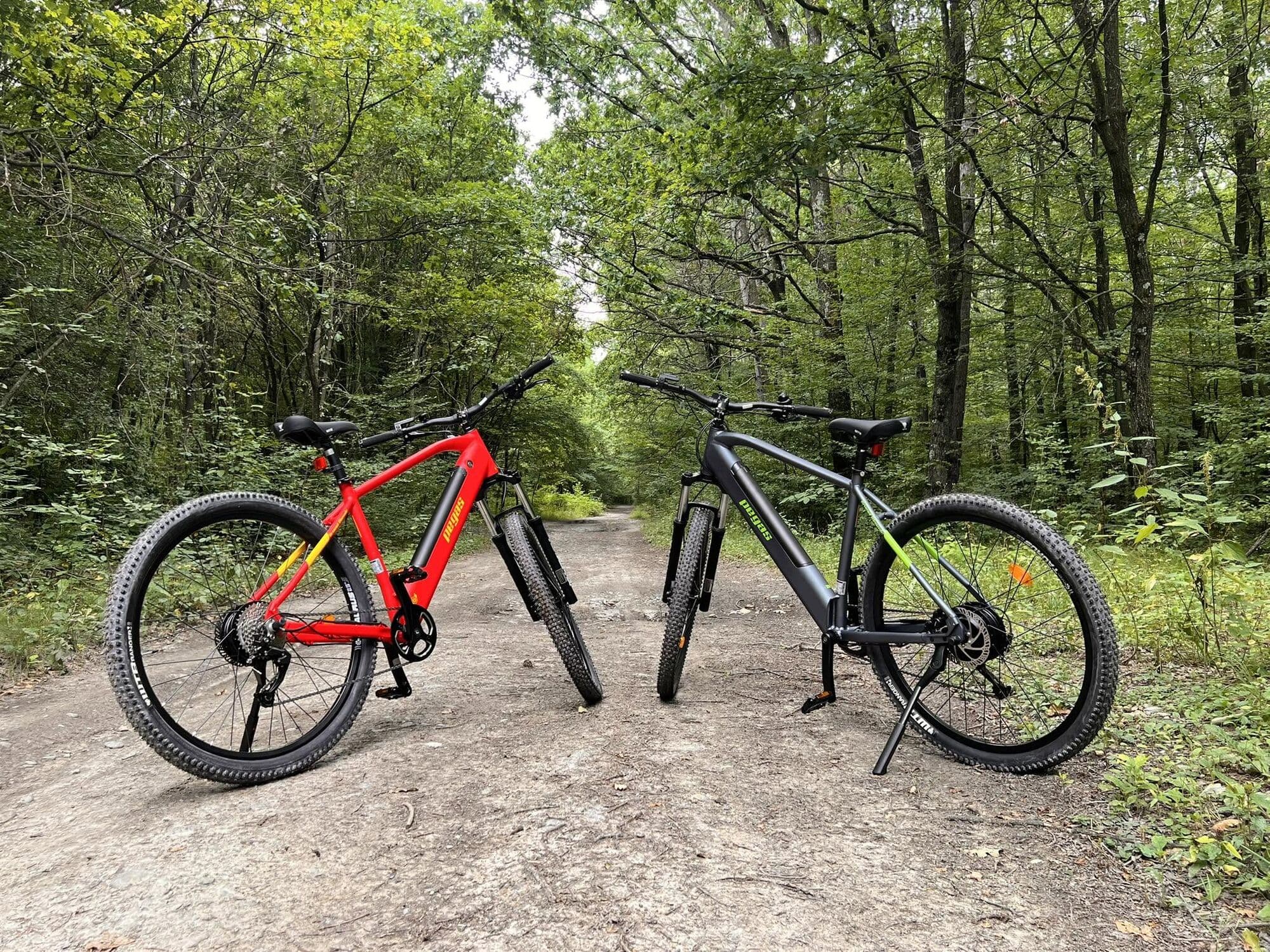 Două biciclete de munte, una roșie și una neagră, pe un drum forestier prin pădure
