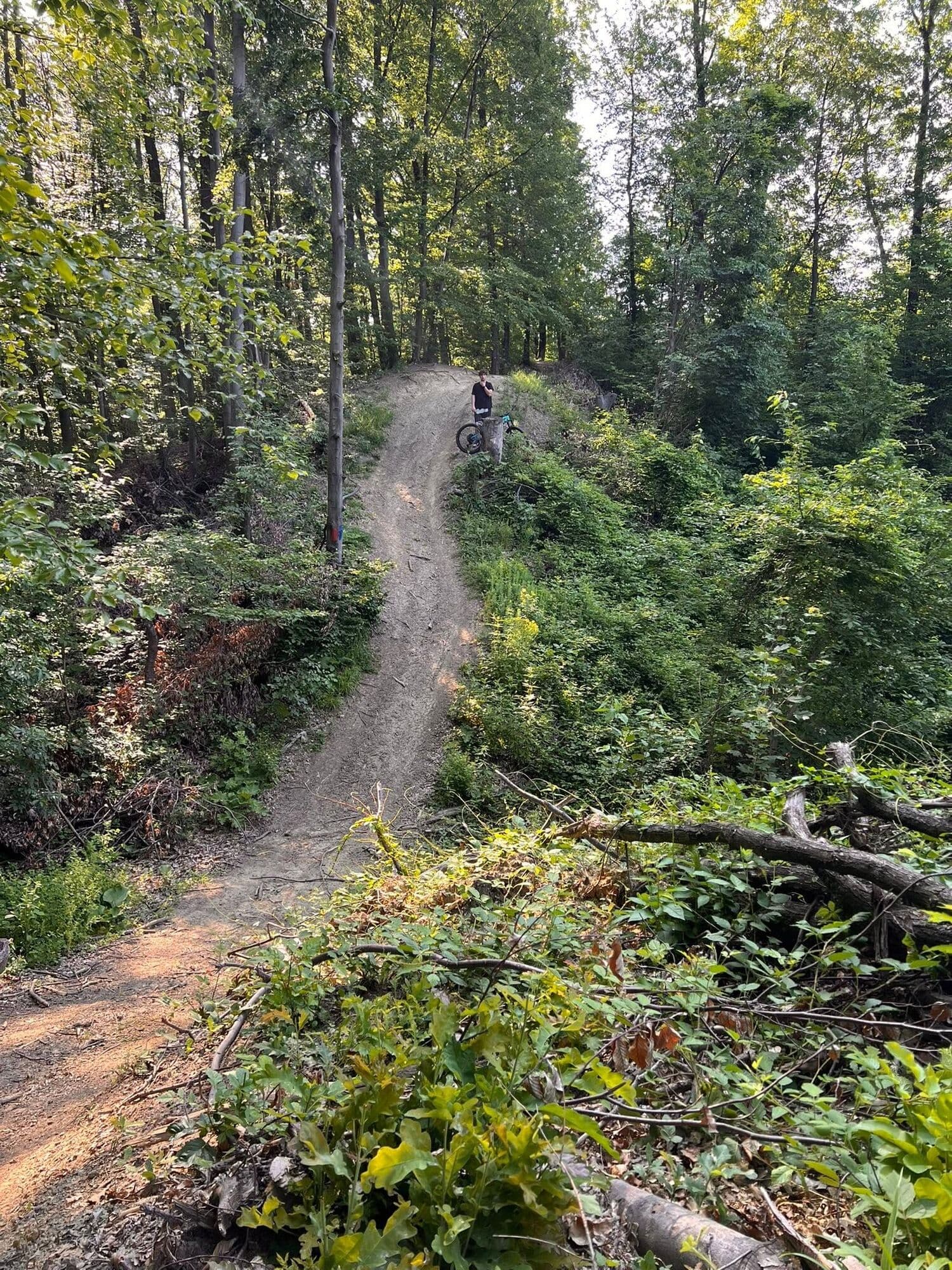 Potecă îngustă pentru bicicletă care șerpuiește prin pădure